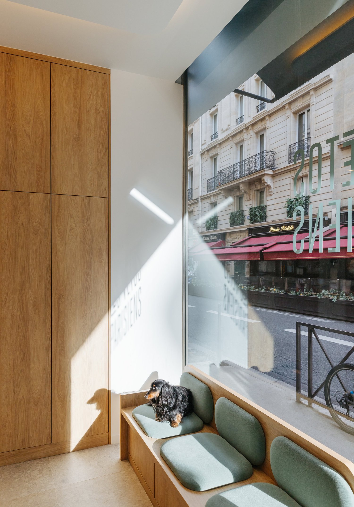 Un chien attend dans l'espace lumineux d'une clinique Les Vétos Parisiens.